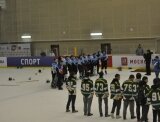 Дворовая хоккейная команда 